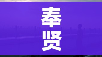 奉贤疫情/奉贤疫情事件后续
