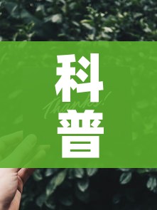 科普一下“链接9人金花房间卡”获取房卡教程-哔哩哔哩