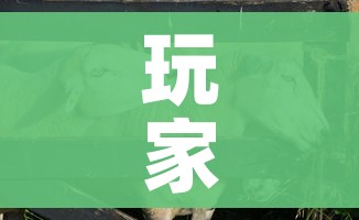 全攻略普及“微信好友创建炸金花房间”获取房卡教程-哔哩哔哩