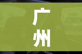 广州本田city锋范/广汽本田锋范2020新款