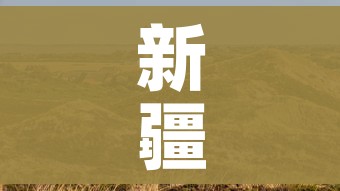 新疆伊犁疫情最新消息今天:新疆伊犁疫情最新消息今天新增病例