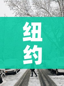 纽约遭遇罕见暴风雪袭击/纽约暴风雪情况