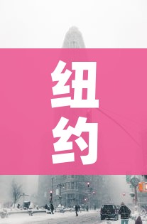 纽约遭遇罕见暴风雪袭击/纽约暴风雪情况