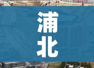 上海12件样本呈阳性/上海阳性案例