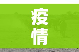 疫情最严重的三个省/疫情最严重的几个省