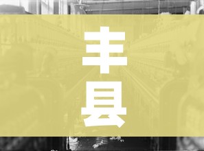 丰县疫情:丰县疫情防控各村报备电话