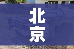 北京市小汽车摇号查询系统:北京小汽车摇号结果查询官网