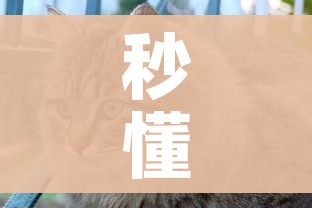 秒懂百科“斗牛房卡怎么购买”购买房卡介绍