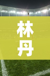 林丹被国家队开除/林丹退出国家队为什么