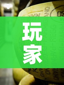 玩家攻略“微信链接牛牛炸 金花房间卡”详细房卡教程