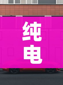 纯电动汽车排名前十名/性价比纯电动汽车排名前十名