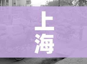 上海快递（上海快递公司招聘）