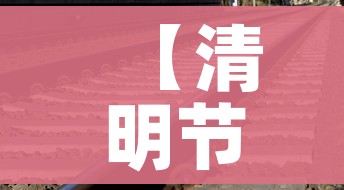 【清明节高速是否免费,清明节高速有没免费】