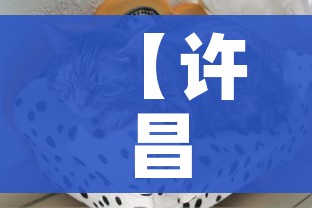 【许昌疫情最新动态,许昌疫情最新数据消息】