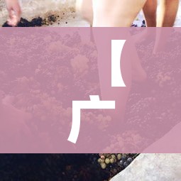 【广东新型冠状病毒肺炎/广东新型冠状病毒肺炎病例最新消息】
