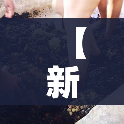 【新冠状病毒全国疫情,全国新冠病毒疫情报告】