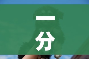 一分钟介绍使用“斗牛房卡牛牛房卡”购买房卡介绍