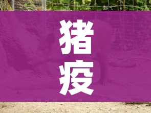 猪疫情/猪疫情是导致猪价下跌的原因吗