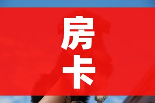 房卡全攻略“斗牛房卡牛牛房卡”详细房卡教程