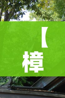 【樟树市/樟树市属于哪个市】