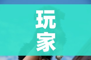 玩家必备教程“斗牛房卡牛牛房卡”购买房卡介绍