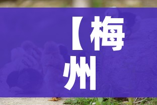 秒懂百科“牛牛卡房链接”详细房卡使用教程