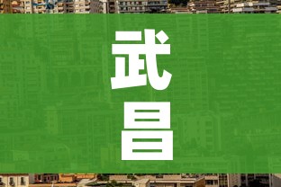武昌疫情/武昌役情最新