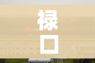 禄口机场9人新冠阳性:禄口机场发现九例新冠阳性
