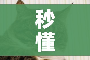 秒懂教程“斗牛房卡牛牛房卡”购买房卡介绍