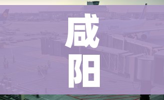 咸阳疫情:咸阳疫情防控电话