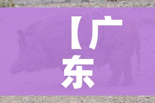 【广东雷州发生一起猪口蹄疫疫情/雷州猪肉最近新闻】