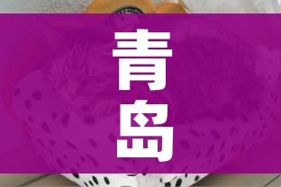 青岛疫情最新动态/青岛疫情最新情况 新闻