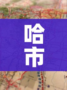 哈市地图/哈市地区地图