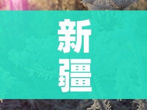 新疆新冠肺炎/新疆新型冠状肺炎