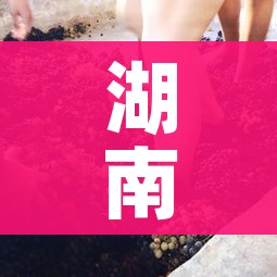 湖南新型冠状病毒/湖南新型冠状病毒病例最新