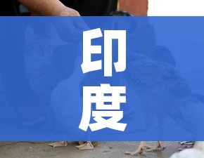 印度发现的变异毒株传入非洲/印度变异毒株真实的样子 印度发现的变异毒株传入非洲/印度变异毒株真实的样子