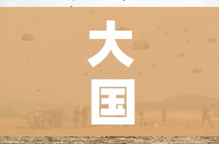 大国战疫:大国战疫pdf 大国战疫:大国战疫pdf