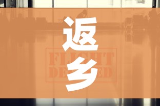 返乡政策最新（返乡政策最新查询）