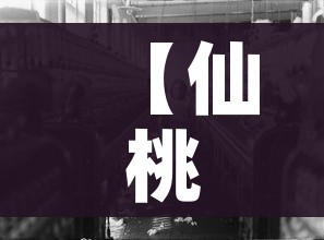 【仙桃疫情/仙桃疫情口罩做出什么贡献了】