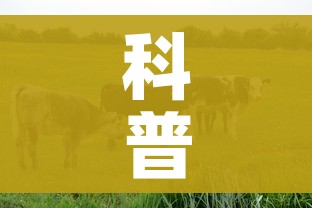 科普一下“微信牛牛群房卡哪里买”房卡链接获取