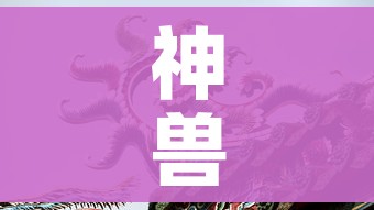 神兽外挂/神兽辅助器是真的假的