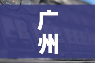 广州将再完成一轮全员核酸筛查:广州新一轮全员核酸筛查 广州将再完成一轮全员核酸筛查:广州新一轮全员核酸筛查