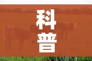 科普一下“微信牛牛群房卡怎么弄”房卡怎么购买