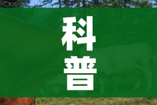 科普一下“微信牛牛群房卡怎么弄”房卡怎么购买 科普一下“微信牛牛群房卡怎么弄”房卡怎么购买