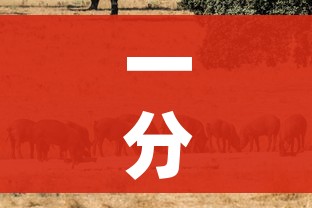 一分钟了解“斗牛房卡牛牛房卡”详细房卡教程