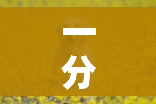 一分钟了解“斗牛房卡牛牛房卡”详细房卡教程
