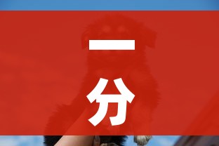 一分钟了解“斗牛房卡牛牛房卡”详细房卡教程