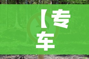 【专车/专车需要什么条件才可以加入】