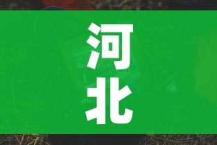 河北快递停运:河北快递停运通知最新通知2025 河北快递停运:河北快递停运通知最新通知2025