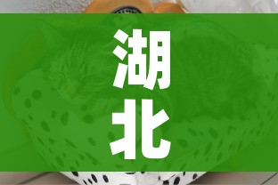 湖北疫情最新动态:湖北疫情最新情况通报 湖北疫情最新动态:湖北疫情最新情况通报
